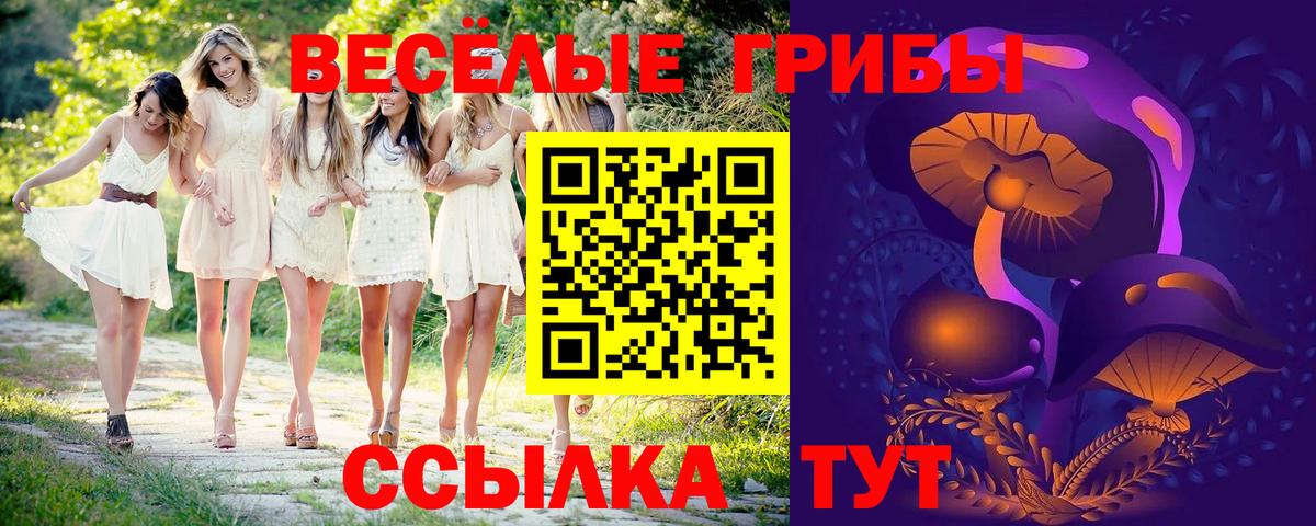 Галлюциногенные грибы Magic Shrooms  Вход с VPN  Урюпинск  Псилоцибиновые грибы Psilocybe 