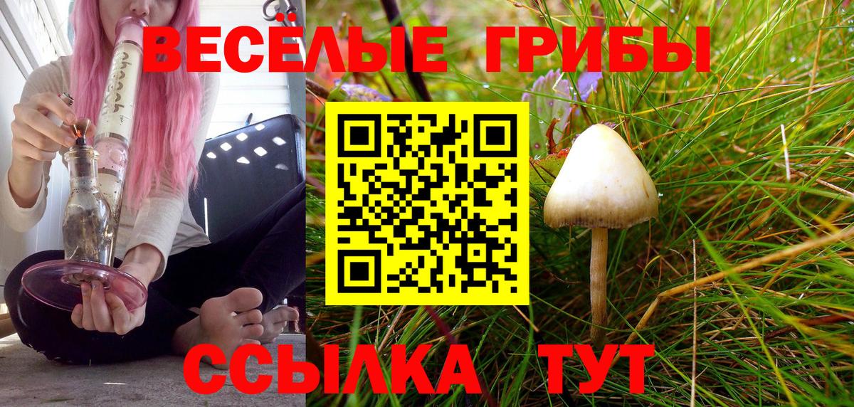 Галлюциногенные грибы GOLDEN TEACHER Урюпинск
